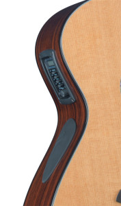 Breedlove Solo Concert guitar detail